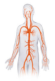 Medizin